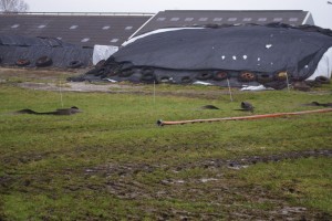 mest injecteren loonbedrijf stuut 2017 (7)
